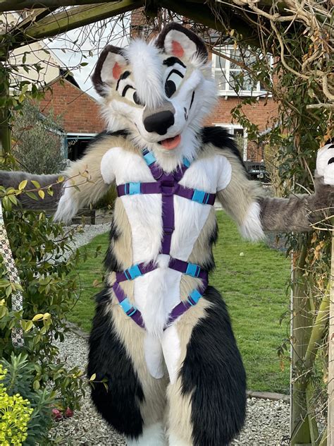 Machi on Twitter in 2021 | Anthro furry, Furry art, Fursuit furry