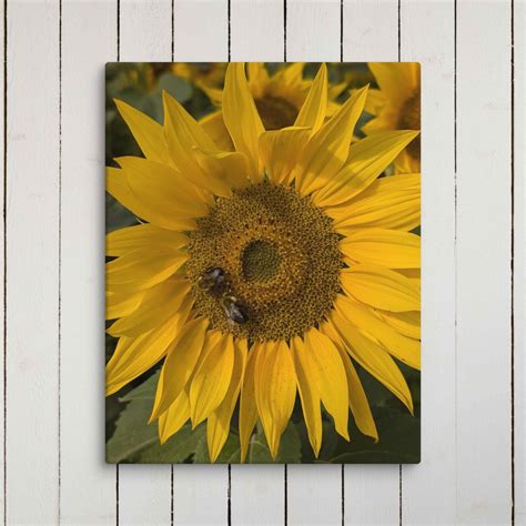 Single Sunflower on Canvas – Piper and Foxx