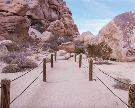 Joshua Tree Itinerary - Rock a Little Travel