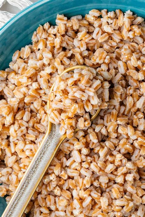 How to Cook Farro (Perfect Everytime!) - Cooking With Ayeh