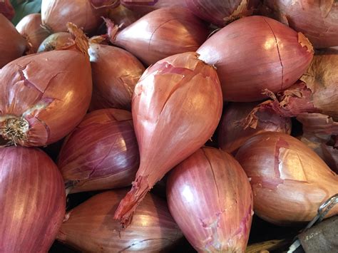 Shallots Archives - CSA|365