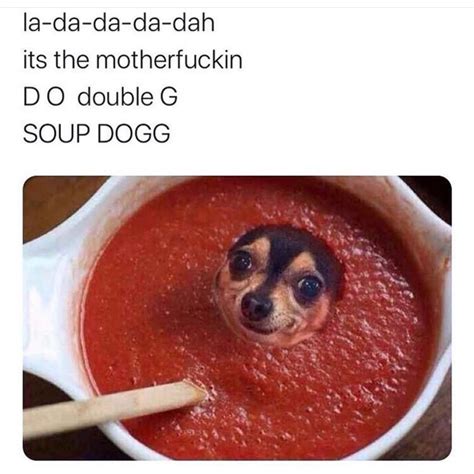 Soup dog mother FUCKER - Meme by villareale52 :) Memedroid