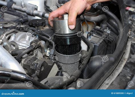 Xxxxxx Xxxxx Xxxxxx Xxxxxx Xxxxxx Xxxxxx Stock Photo - Image of ffffff, ddddd: 61889300