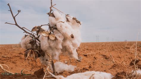 Climate Change In Spanish