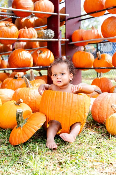 Top 5 Pumpkin Patches in Jacksonville, FL By A Family Photographer ...