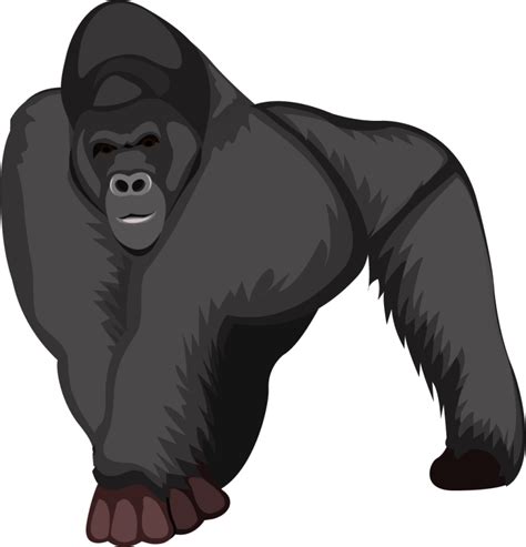 gorilla clip art free #5885639 | Clipart Library