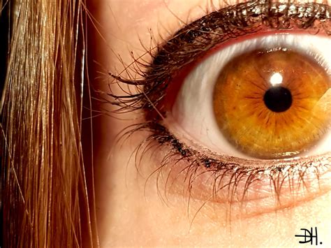 Amber Eyes Human