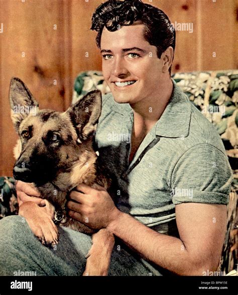 John Derek Movies