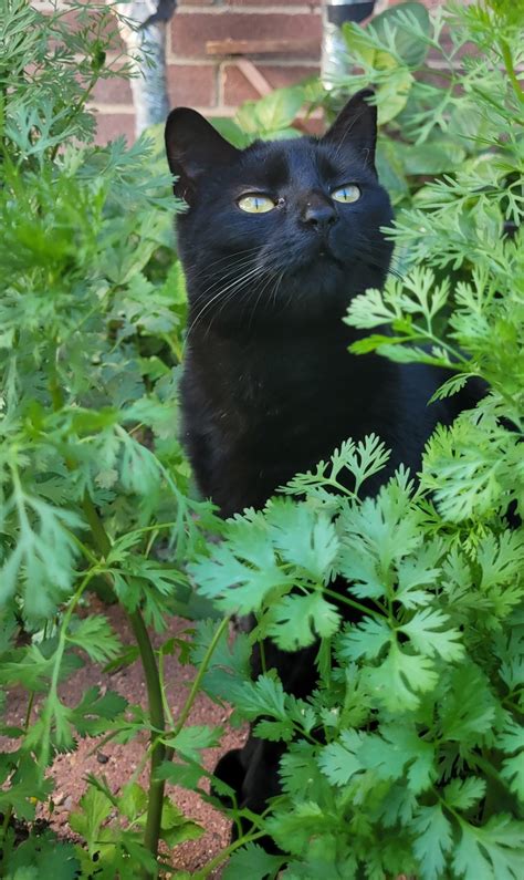 amatuer photography on Tumblr