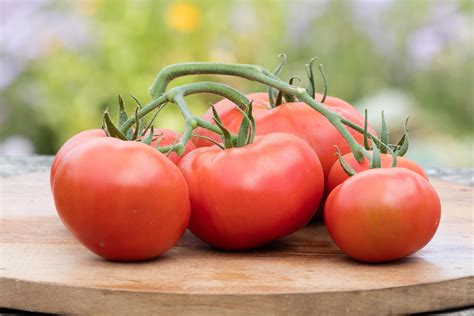 Curious Croppers - Clevedon