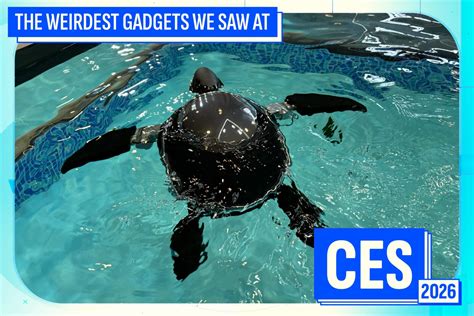 The Best Sex Toys of CES 2025