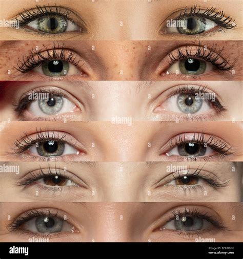 Different eye colors human hi-res stock photography and images - Alamy