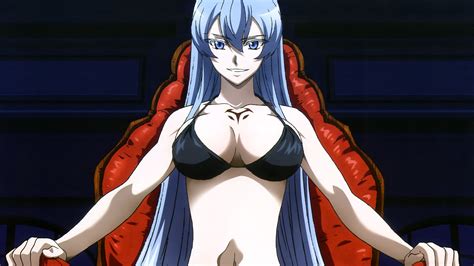 Esdeath Swimsuit Hotsell | centralcountiesservices.org