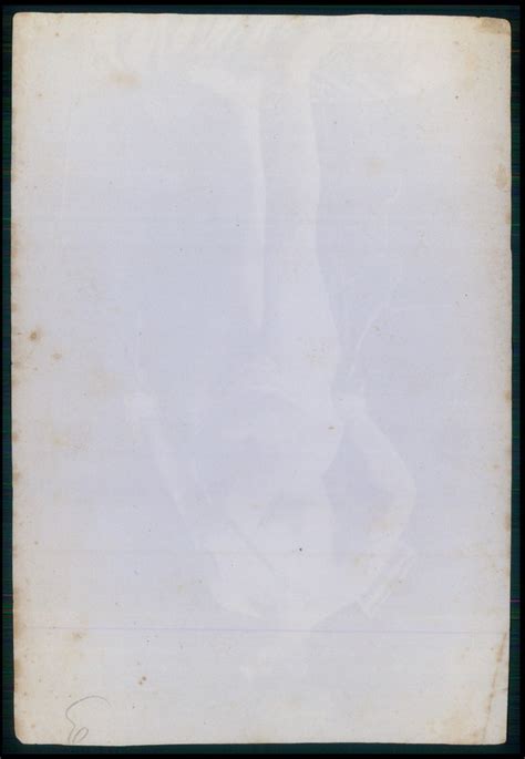 Albumen photo nude fat big woman Cupid arrow bow original early c1890s | eBay