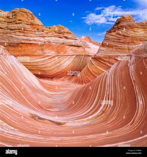 swirling sandstone formations in the paria canyon-vermillion cliffs ...