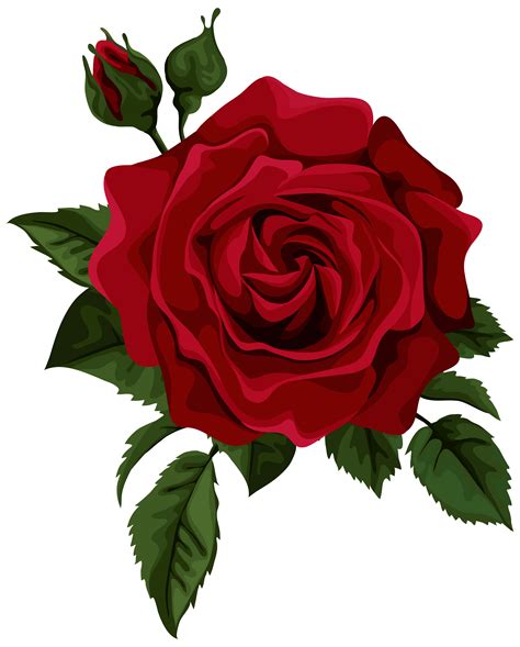 Download Roses Png Clipart Rose Clip Art Rose Flower Red Roses Corner ...