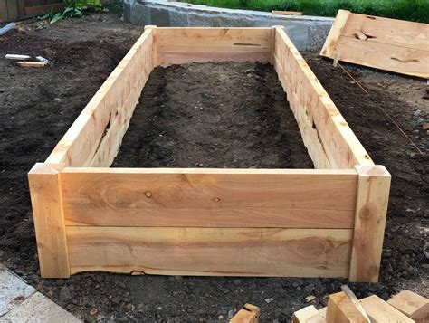 What Kind Of Lumber For Raised Beds at Sandra Raines blog