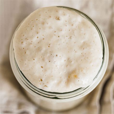 Easy Sourdough Starter Recipe for Beginners