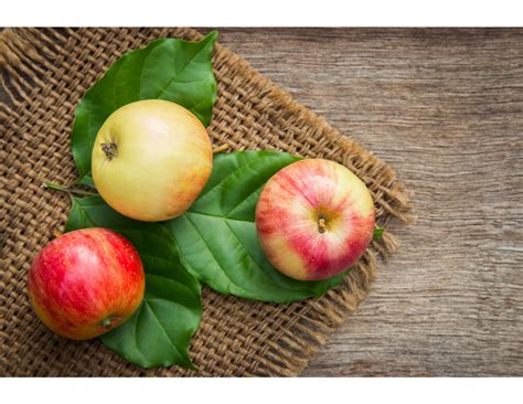 What is Rosh Hashanah and why is it important? - Immi Moms