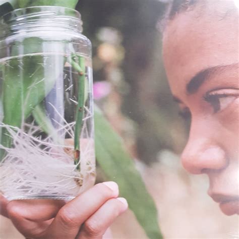 DUVAL TIMOTHY - MEETING WITH A JUDAS TREE VINYL - GrevilleRecords