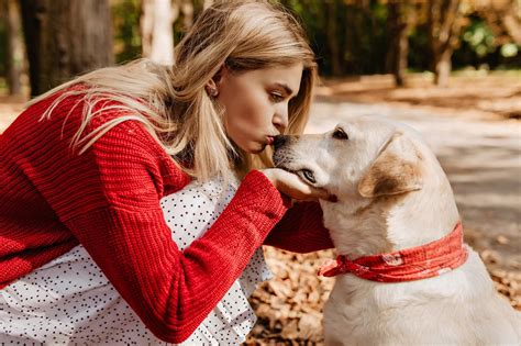 Do Dogs Like Kisses? Everything You Need To Know - The Fit Pets