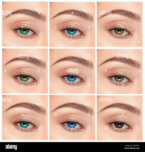 Different Eye Colors And Their Names at Carole Alden blog