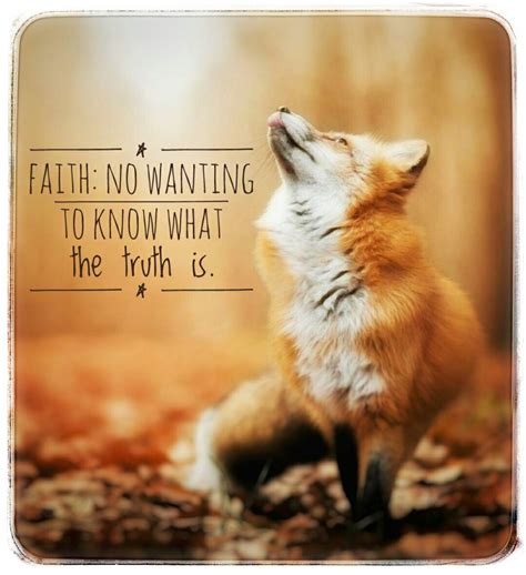 Quotes About A Fox - SERMUHAN