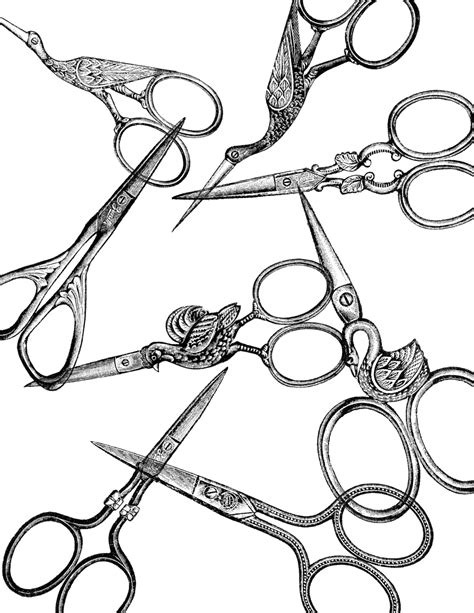 Vintage Scissors Clip Art PNG