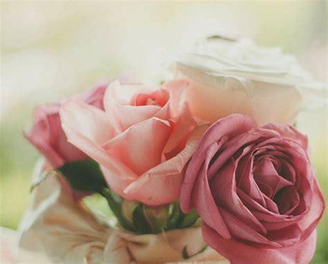 Parker-Reedy Funeral Home | West Frankfort, IL Funeral Ho...