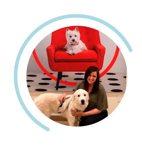 Working in Our Phoenix Home Office | Careers at PetSmart Apply