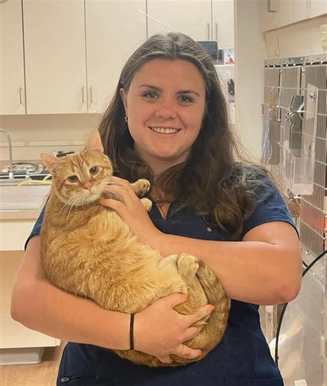 Experienced Veterinarians | Animal Hospital in Smiths Station