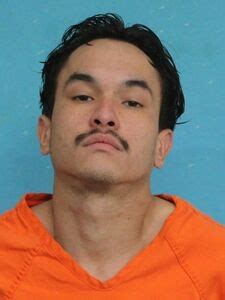 Inmate Roster | Cape Girardeau County MO Sheriff's Office | Sort ...