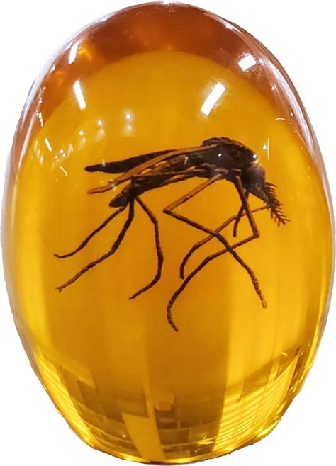 Amazon.com: VEOJEIN Jurassic 3D Mosquito in Amber Resin | True 3D ...