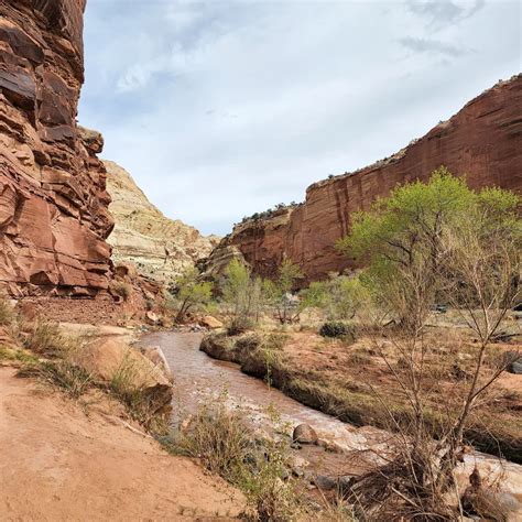 Best Hiking Trails in Capitol Reef National Park, Utah
