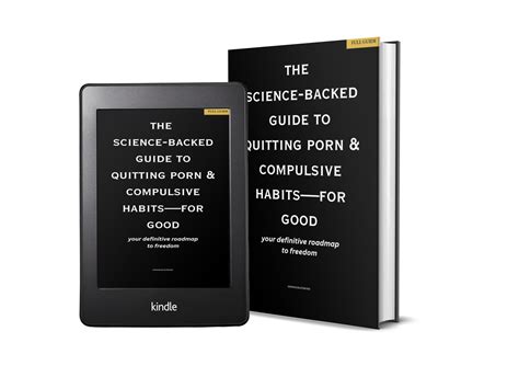 Buy THE PERMANENT RESET FOR PORN & COMPULSIVE HABITS by Prosper Edwins on Selar