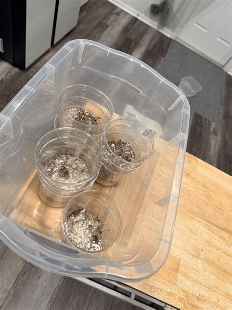 Got my “dirty water” samples ready for tomorrow to test out my lesson ...