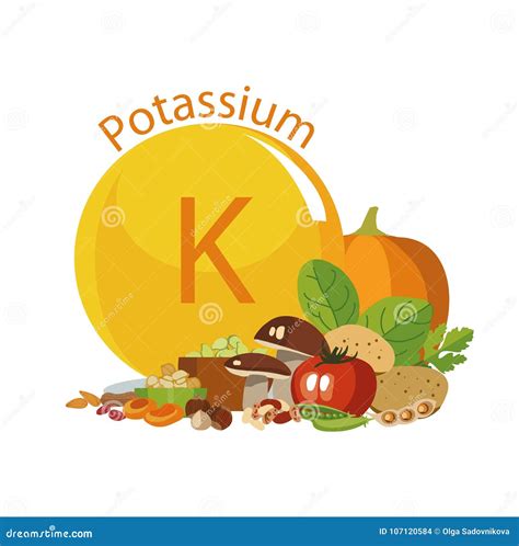Potassium in Food. Products with the Maximum Content of Microelements. Stock Vector ...