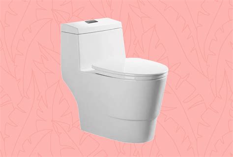 The 10 Best Toilets of 2024