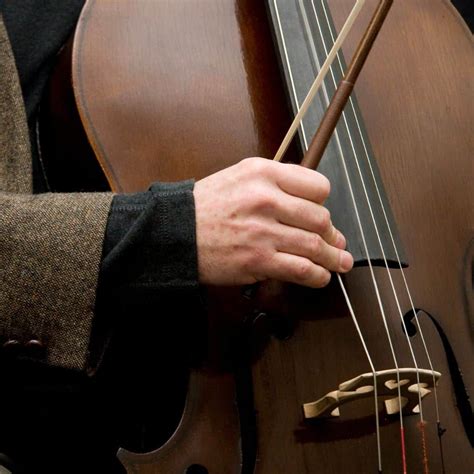 Cello String Notes: Mastering The Basics For Beginners | Ted's List