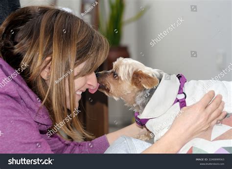 1 Women Who Suck Dogs Images, Stock Photos, 3D objects, & Vectors ...