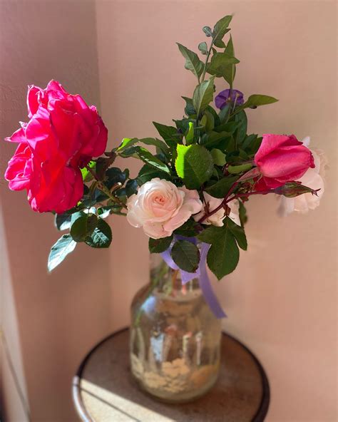 Windy Oaks Estate Winery (@windy_oaks_estate) • Instagram photos and videos