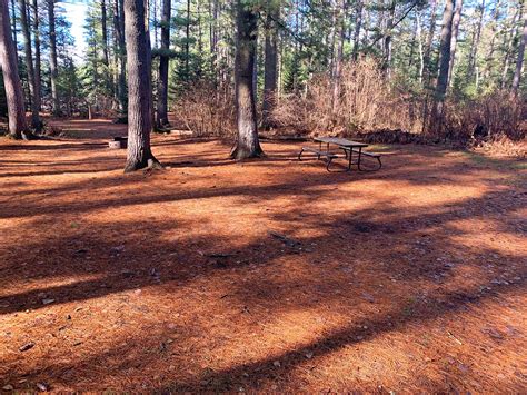 Lake of Two Rivers Campground, Site #125 in Algonquin Park
