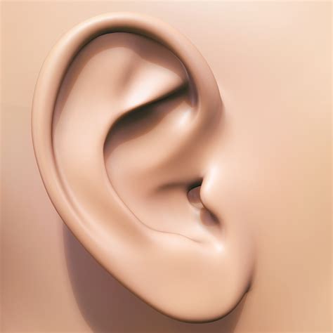 Is ear sex really a thing? - Chicago Reader