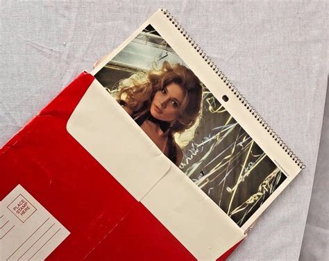 Vtg 1980 Playboy Playmate Calendar w/Paper Cover Sleeve Wall Hanging ...