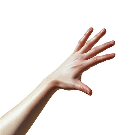 Open Hands Reaching Out PNG, Vector, PSD, and Clipart With Transparent Background for Free ...