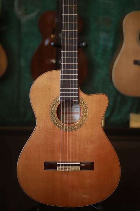 Nylon String Guitars – McCabe's Guitar Shop