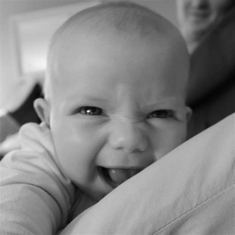 Fields of Sage: Nose Crinkles