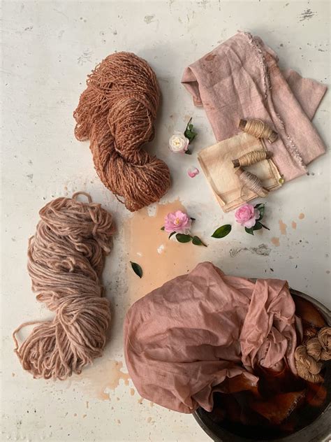 Natural Dye Botanical Fabric Dyeing - How To Do It Yourself — petalplum