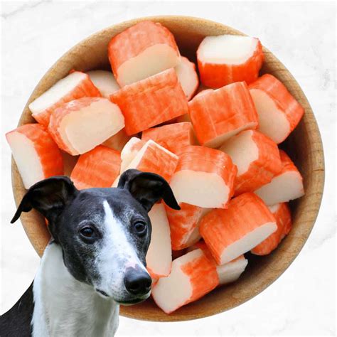 Can Dogs Eat Imitation Crab