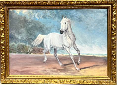 British School - Arabian White Horse prancing in Landscape, huge ...